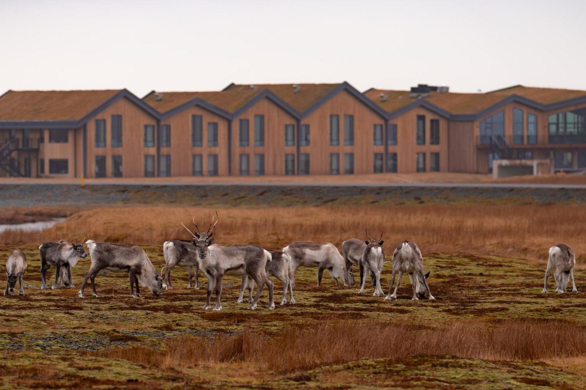 Hotel Joekulsarlon - Glacier Lagoon Hotel Gerdi Esterno foto